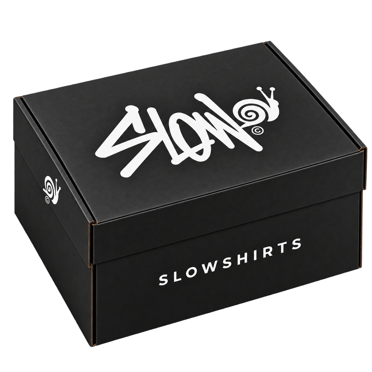 Lote 5 Shorts Essentials